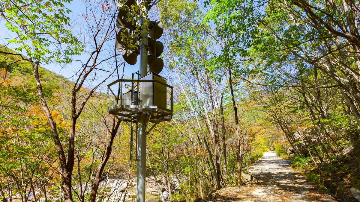 North Korea Removes Propaganda Speakers