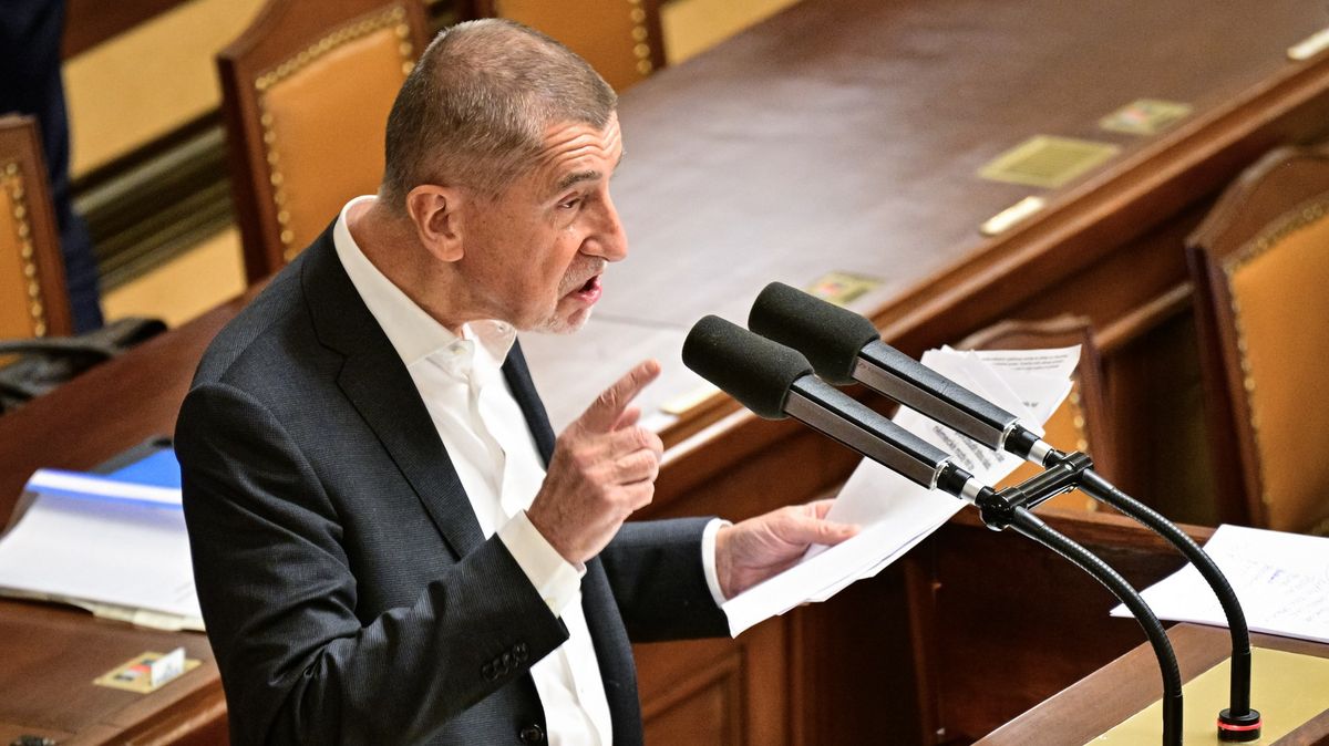 Komentář: Zkoumání duševního zdraví v politice. Kdy tahle ostuda skončí?