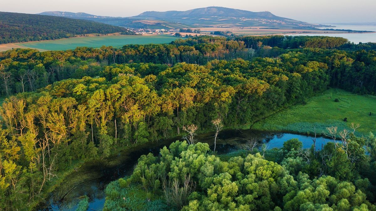 Soud už zamítl téměř třetinu žalob vůči vyhlášení nové CHKO