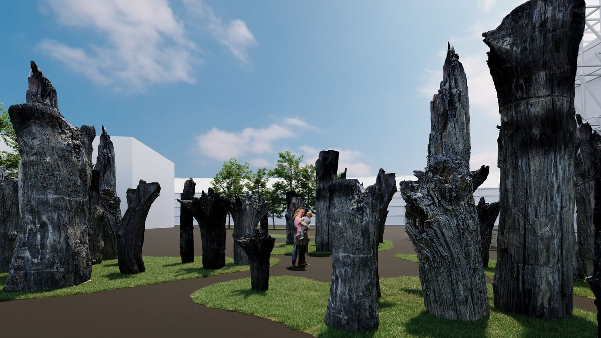 Fotky: Přes 6000 let ležely pod zemí, teď duby z Poolší míří na Expo