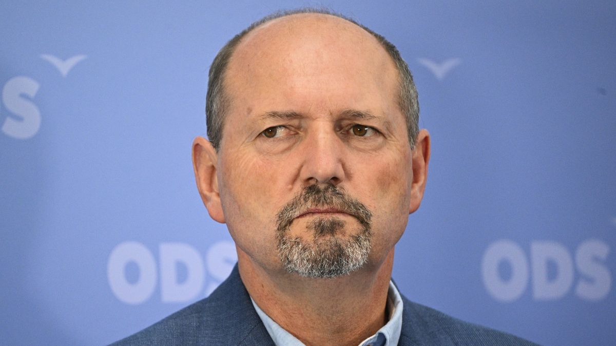 Výsledek senátních voleb na Rokycansku platí, NSS zamítl stížnost Karpíška