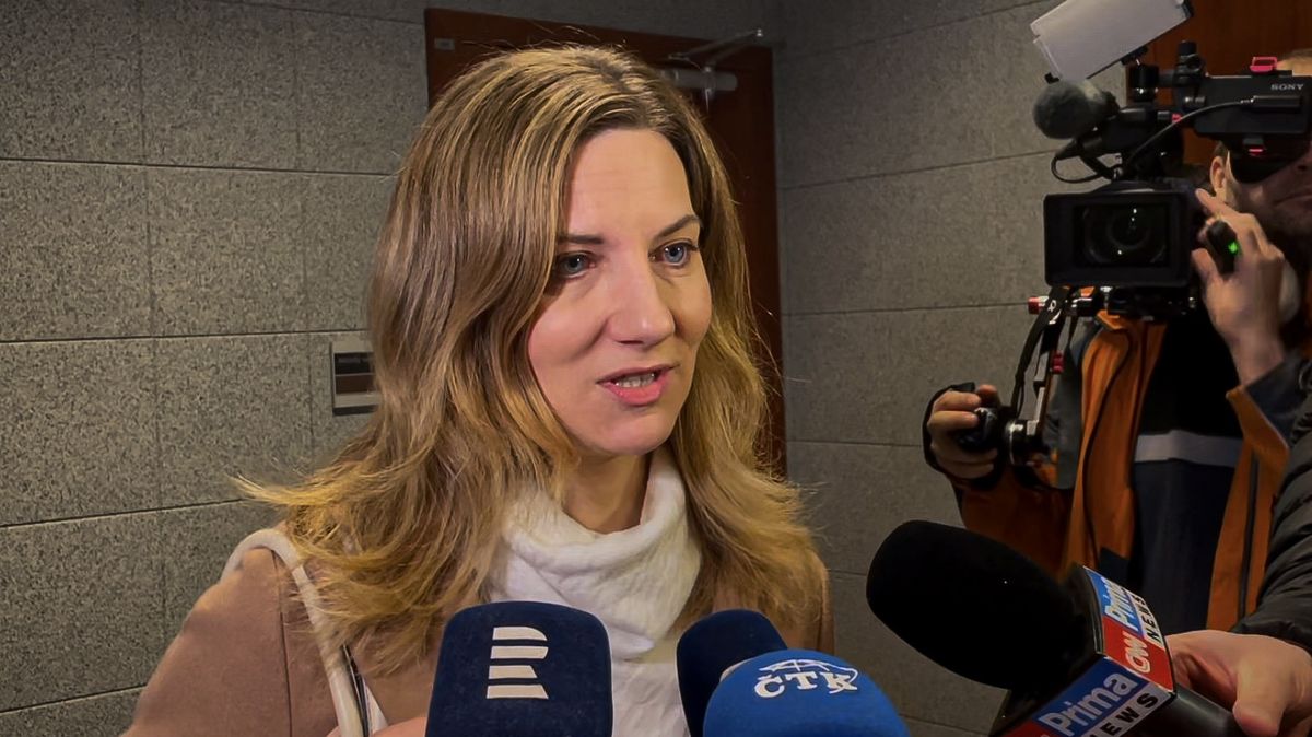 Primátorka u soudu: Špiní mě. A s vámi se nebavím, řekla reportérům Seznamu