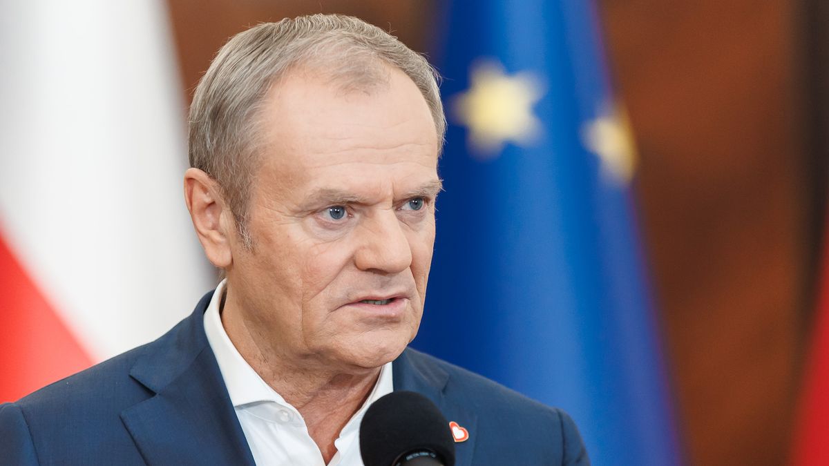 www.seznamzpravy.cz
