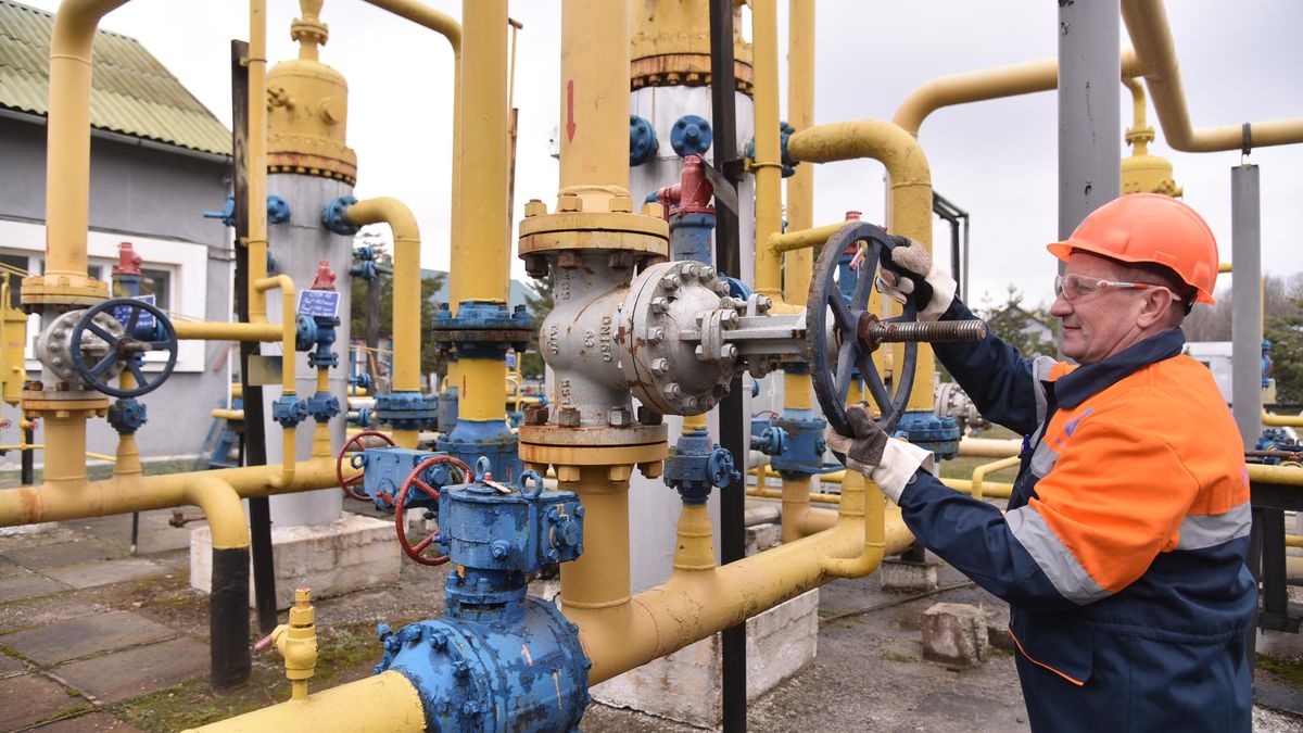 Ceny plynu se mohou přiblížit i ke 100 eurům, říká energetik