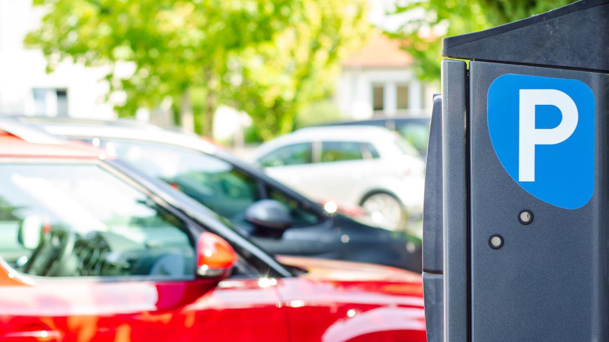 Parking Space Wars: Cities Divided by a Real Problem