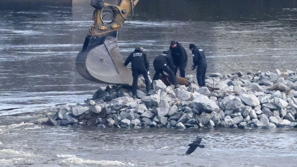 Pyrotechnici zneškodnili bombu z války nalezenou pod mostem v Drážďanech