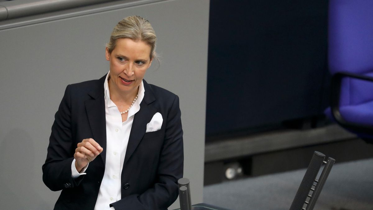 Kandidátka AfD na kancléřku má v protisvětle na letáčku Hitlerův knírek