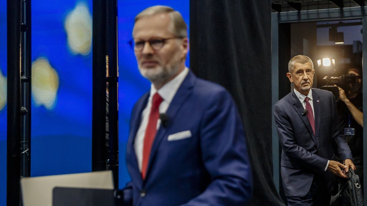 Stuchlíková: Babiš se nadchl pro myšlenku, že by mohlo ANO vládnout samo