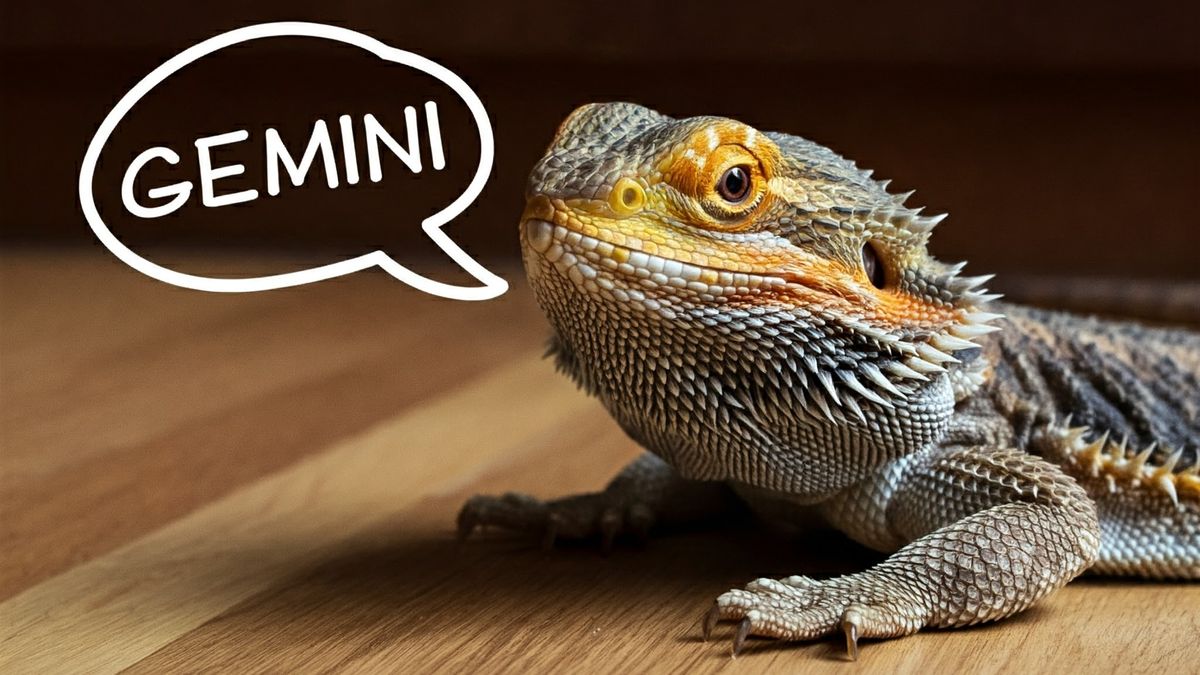 Gemini krok za krokem: Podrobný návod, jak pracovat s AI asistentem od Googlu