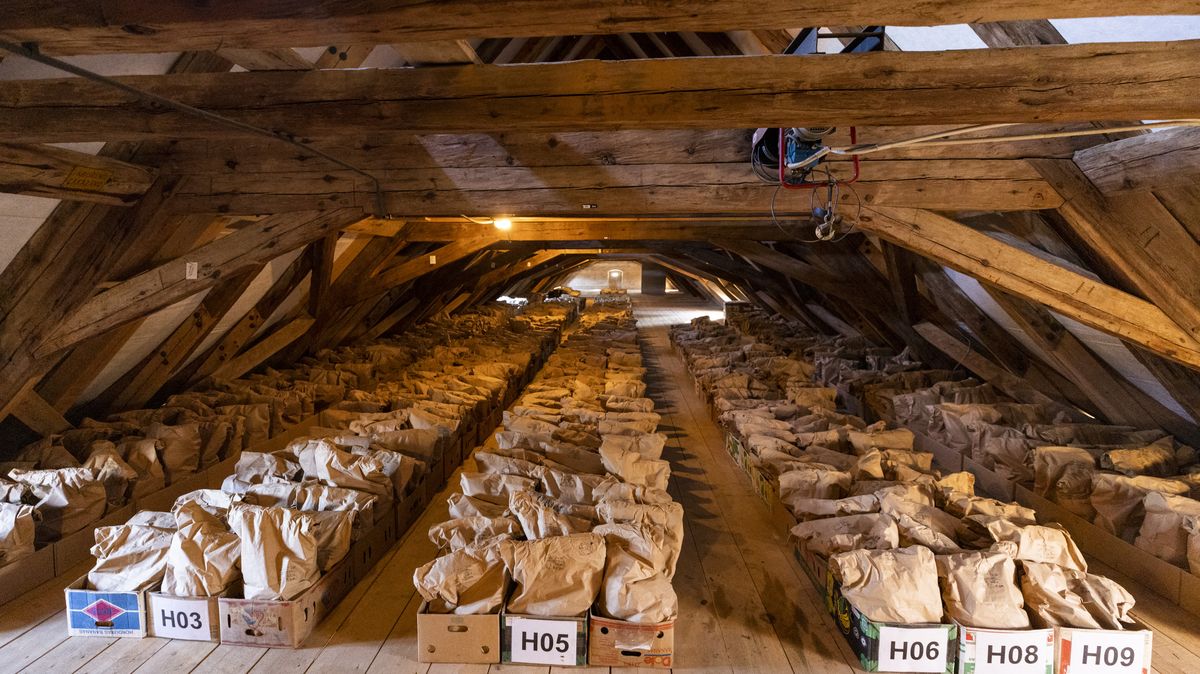 Archeologové odhalili u Břevnovského kláštera 1289 ostatků pruských vojáků
