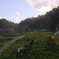 Tábořiště u Věžického rybníka.