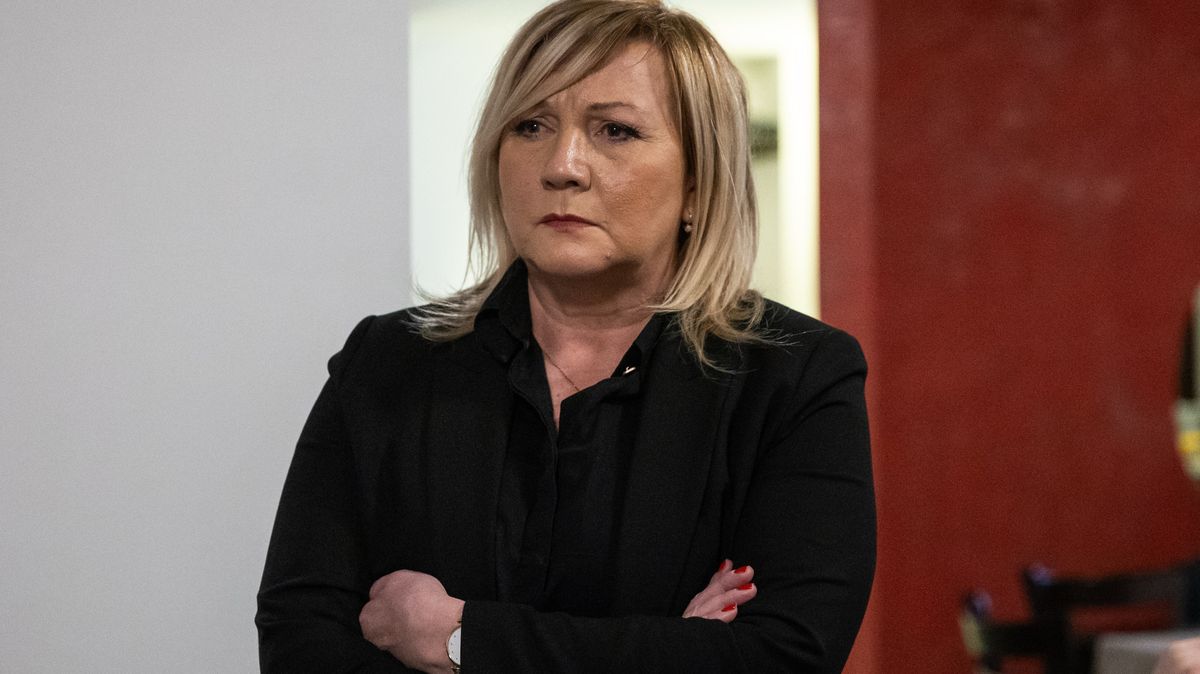 „Parchant jeden.“ Schillerová se na TikToku pustila do premiéra Fialy