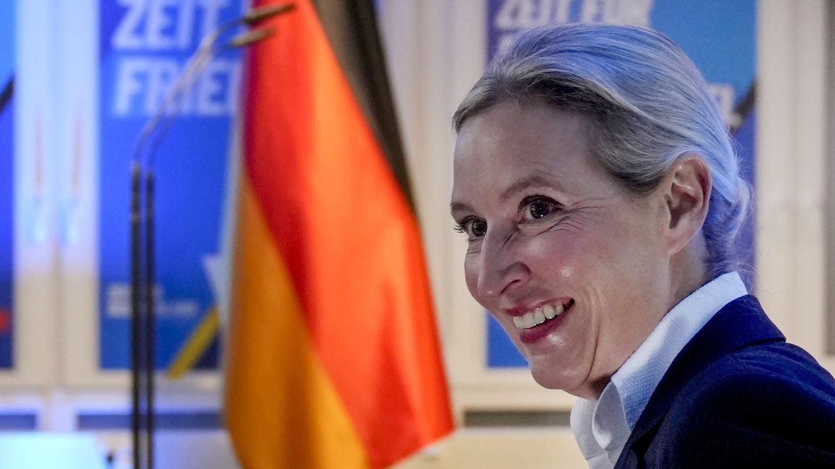 AfD zdvojnásobila zisky. Pomohl jí silný hněv vůči politickému systému