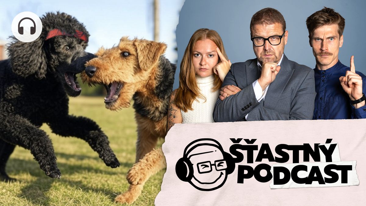 Šťastný podcast: Betyna vs. Rambohafík. Našli jsme TOP 5 psů české politiky