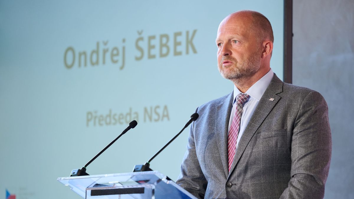 Ekonomiku může obezita brzo ochromit jako covid, varuje šéf NSA Šebek