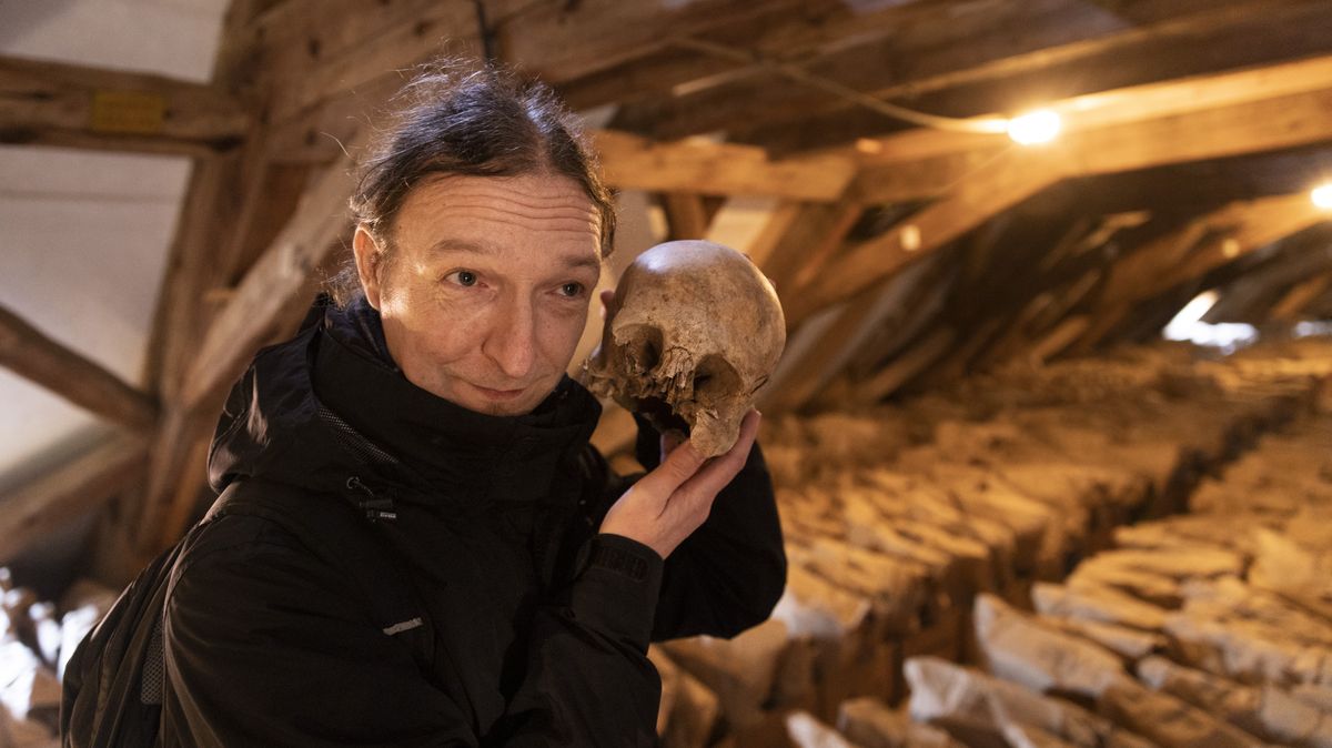 Tisíc mrtvých ze sedmileté války. Nález archeologů na Břevnově budí zájem v cizině