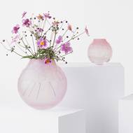 Jan Plecháč, Dotty pro Moser.