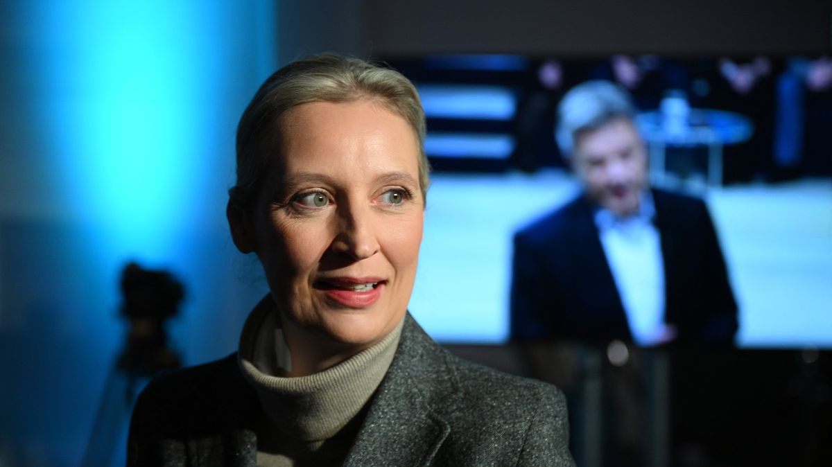 Skvělý fíkový list AfD. Kdo je Alice Weidelová