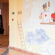 Vyšetřovatelé v této kauze podezřívají vedení motolské nemocnice z korupce.