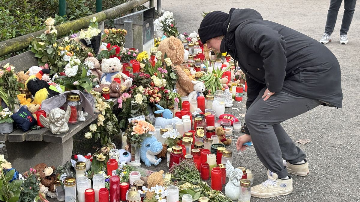 Německo po útocích. „Bojím se a méně vycházím, ale AfD není řešení“