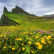 Island - odlehlý Hornstrandir.