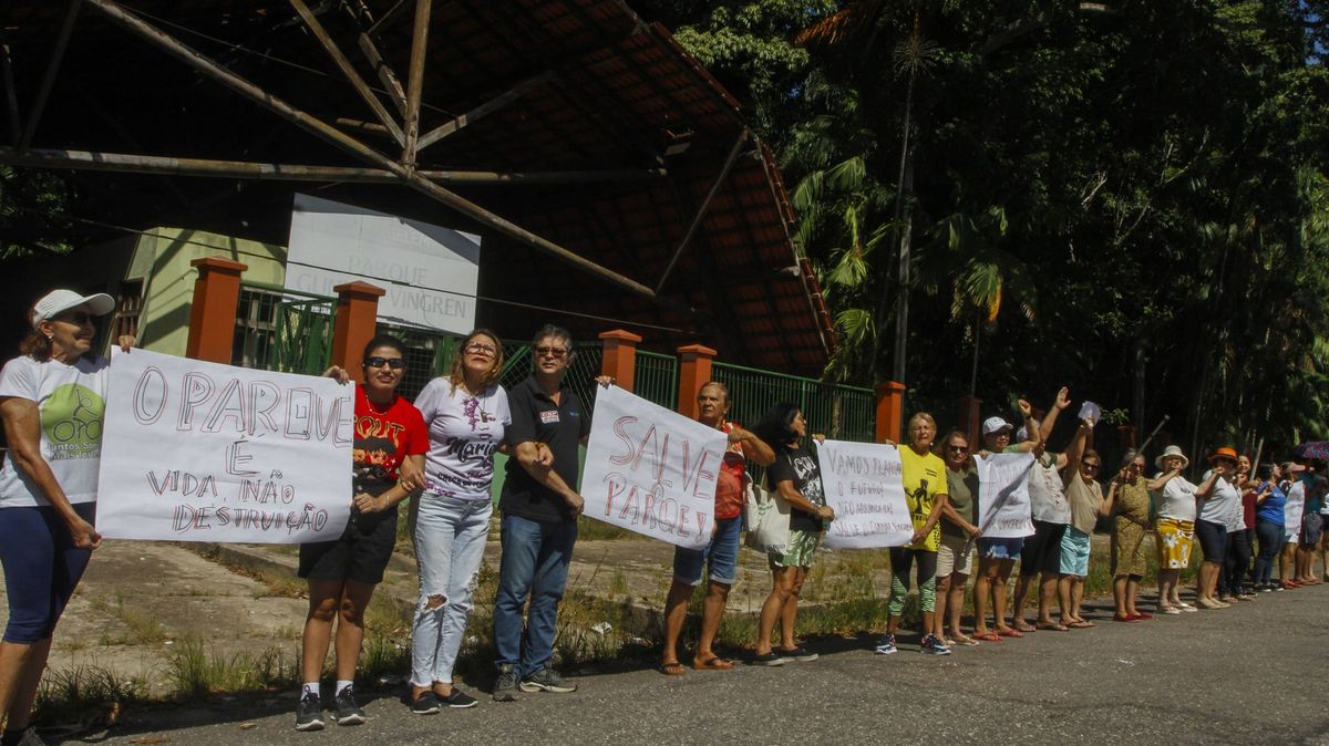 Deštný prales se kácí kvůli klimatickému summitu. Lidé se bojí o obživu