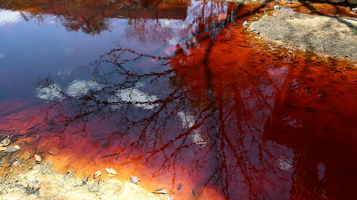 Fotky: Toxická řeka bez ryb. Varování, které ale novou těžbu nezastavilo
