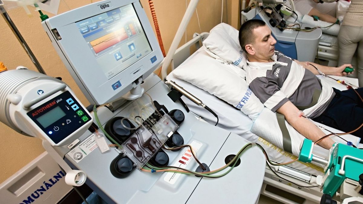 Obtížné hledání dárců dřeně. Využijeme jednoho ze sta, říká šéfka registru