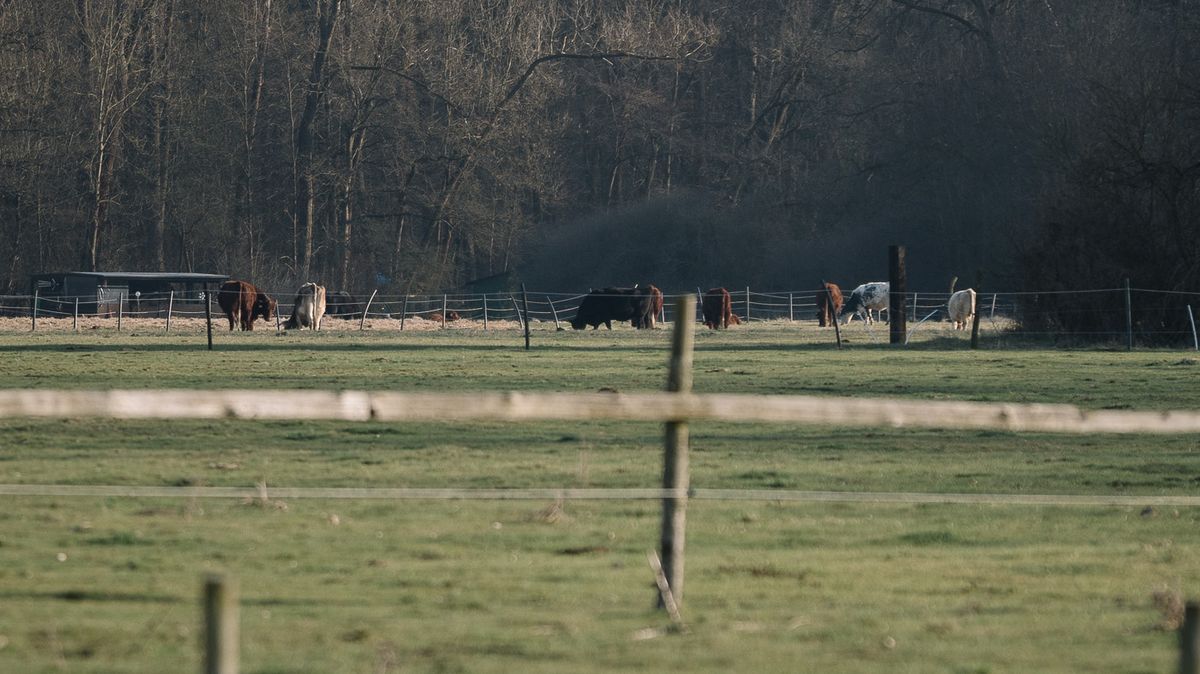 Slintavka jim prošla obcí dvakrát. Může se opakovat totální lockdown?