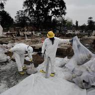 Odstraňování nebezpečných materiálů z domu, který lehl popelem při požáru Eaton. Některé domy v Altadeně byly pozitivně testovány na přítomnost škodlivých toxinů včetně azbestu, což některým rodinám znemožnilo vrátit se zpět. (26. března)