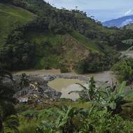 Ta byla největší gerilou v Kolumbii. V roce 2016 s ní uzavřel mírovou dohodu tehdejší prezident Juan Manuel Santos a většina jejích členů se v roce 2017 vzdala zbraní. Z FARC poté vznikla politická strana, která dostala na základě mírové dohody i několik křesel v parlamentu. 

(Bagr v údolí Micay, 9. března 2025).