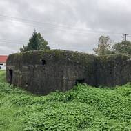 Objekt stálého lehkého opevnění (typ 37-D1) se nachází při jižním okraji obce Šumice mezi silnicí, Šumickým potokem a bytovým domem. V těsné blízkosti vede cyklotrasa Znojemská. Minimální kupní cena: 109 508 korun.