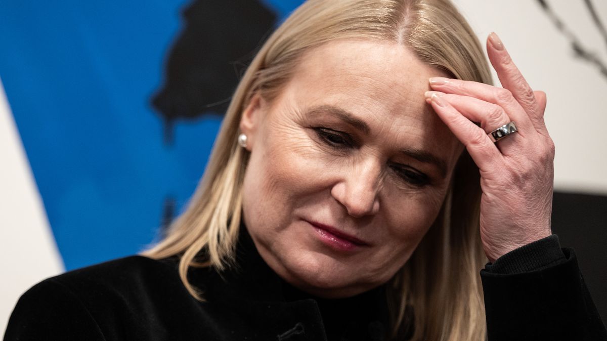 Obrana podle kontrolorů prováhala při budování protivzdušné obrany stamiliony