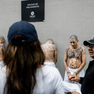 Noemová si byla prohlédnout zařízení, kam americké úřady 15. března deportovaly do Salvadoru 238 venezuelských migrantů. Ve věznici známé pod zkratkou CECOT panuje velmi přísný režim a přezdívá se jí také středoamerický Alcatraz. Vězni nechodí ven, nesmí mít návštěvy, nezúčastní se žádných vzdělávacích programů.