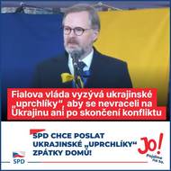 V popisku příspěvku SPD mimo jiné zmiňuje teorii, že vláda chce z ukrajinských uprchlíků udělat české občany a získat tak nové voliče.