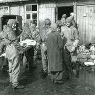 V Bergen-Belsenu se mezi vězni šířily vážné nemoci, lidé zde umírali ještě po osvobození.