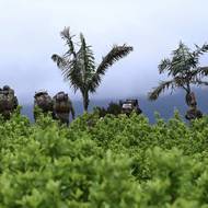 Někteří místní obyvatelé, mluvící zastřeným tónem, unaveně reportérům agentury AFP přiznávají, že jim povstalci přikázali, aby se postavili armádě a pomohli ji vyhnat. Ozbrojenci mnohé přesvědčili, že vládní jednotky vypálí domy a zničí úrodu koky, takže místní zůstanou bez práce a příjmů. 

(Odcházející vojáci z  El Plateado, 8. března 2025.)