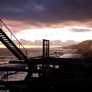 Ekologové navrhují, aby se Los Angeles zbavilo palem, jalovců a eukalyptů a nahradilo je stromy, které jsou přirozeně lépe vybavené proti požárům - jako původní druhy kalifornských dubů. Ty mají silnou kůru a kožovité listy, které pomalu hoří. (Malibu, 6. března)