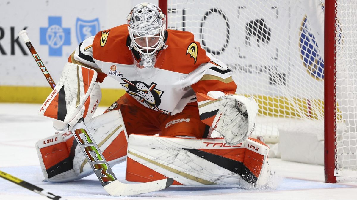 Analýza českých brankářů v NHL: úplný vrchol i nejhorší sezona za mořem
