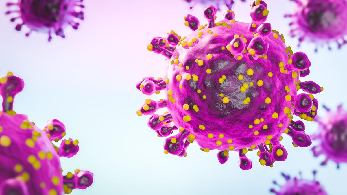 Co je hantavirus. Způsobuje nemoc, které podlehla manželka Gena Hackmana