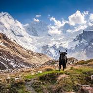 Zapadlý kout Himaláje.