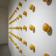 Vedle obrazu Cyberlemon je navíc 90 plodů v pravidelném tvaru připevněno na zdi. Podle Martince tato instalace odkazuje na marnost a pomíjivost.