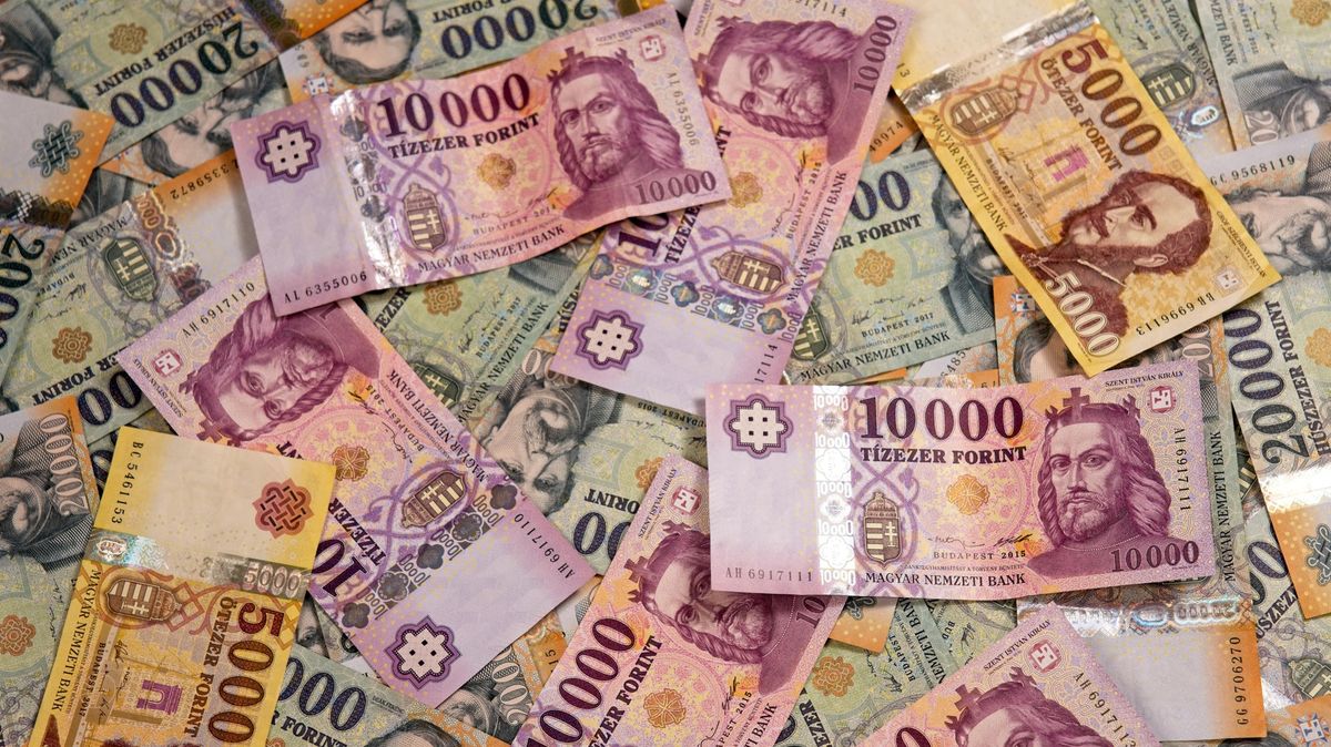Maďarské centrální bance hrozí ztráta. Investice její nadace se nepovedly
