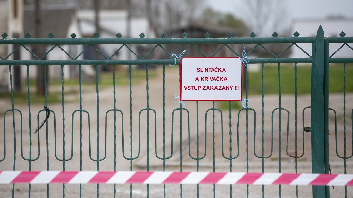 Opozice tepe Ficovu vládu. Místo slintavky řešili oslavy MDŽ, tvrdí