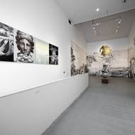 Pohled do výstavy Cyberlemon.