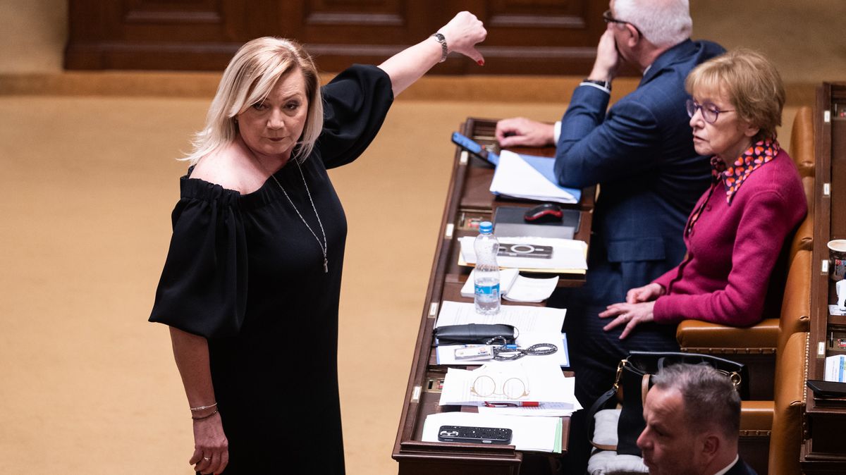 ANO cepovalo vládu za stavební řízení. Nepřišel Bartoš ani Fiala