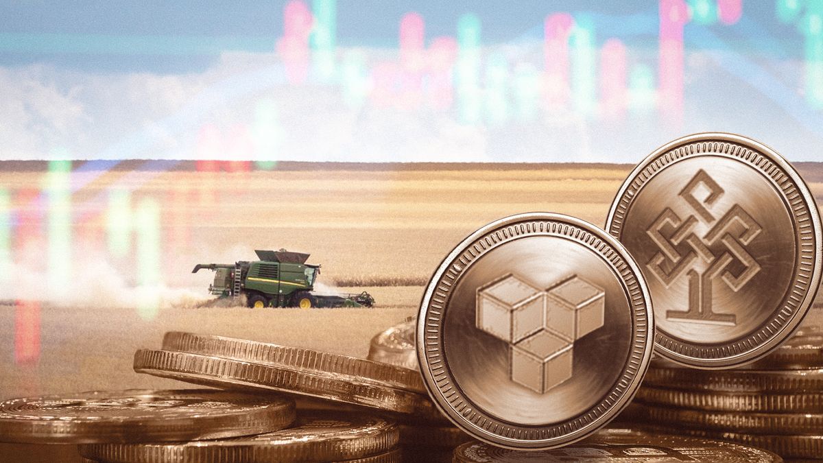 Prodejce tokenů Verdant APF má vazby na vyšetřovanou firmu Platon Life