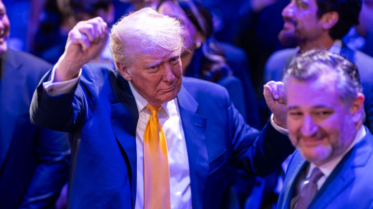 Padesát vrtulníků a sedm kapel. Unikly plány na Trumpovu vojenskou přehlídku