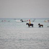 Momenty z cest  motorkářky Dominiky Gawliczkové.