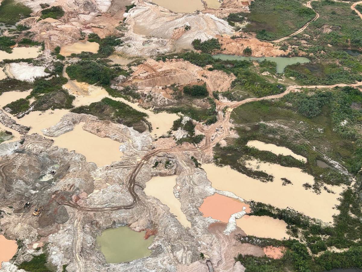 Podle zprávy brazilské kanceláře Greenpeace nazvané Toxické zlato se v roce 2024 brazilské zlato nejčastěji vyváželo do Kanady, Švýcarska a Británie.

(Brazílie, Para, ilegální těžaři zlata v oblasti národa Kayapo, 19. března.)